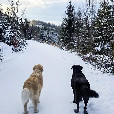 Blizej Do Nieba Istebna