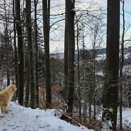 Blizej Do Nieba * Istebna