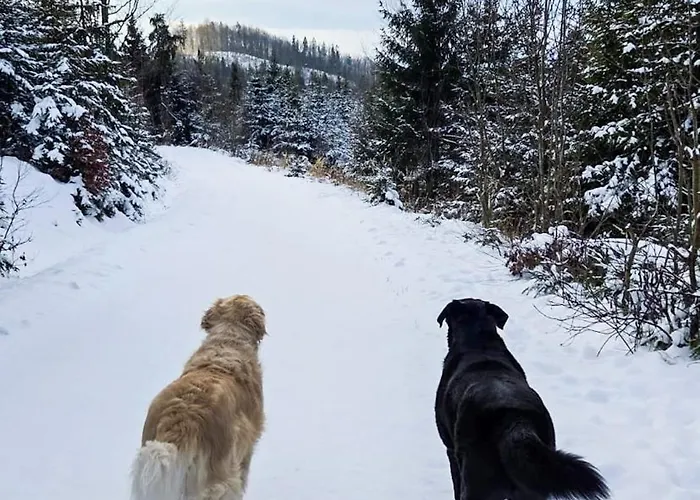 Blizej Do Nieba 이스테브나