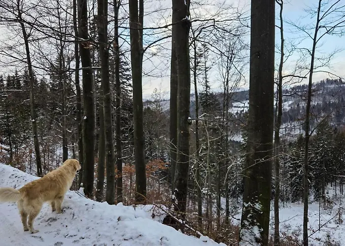 Blizej Do Nieba * 이스테브나